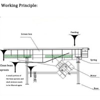 Vibrating Screen for Soybean Sprout Peel Separation