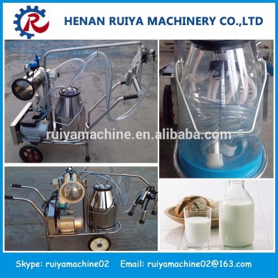 stable property cow milking equipment