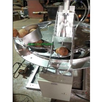 Turnkey coconut juice extractor for food plant